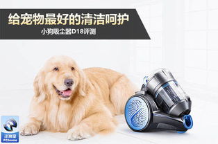 吸尘器宠物狗毛怎么清洗