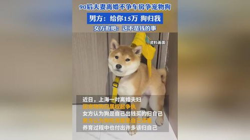人因为宠物狗吵架怎么办