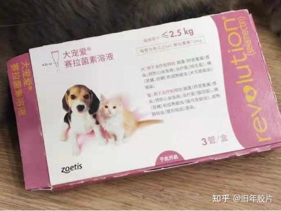 宠物狗去虫药怎么选择好