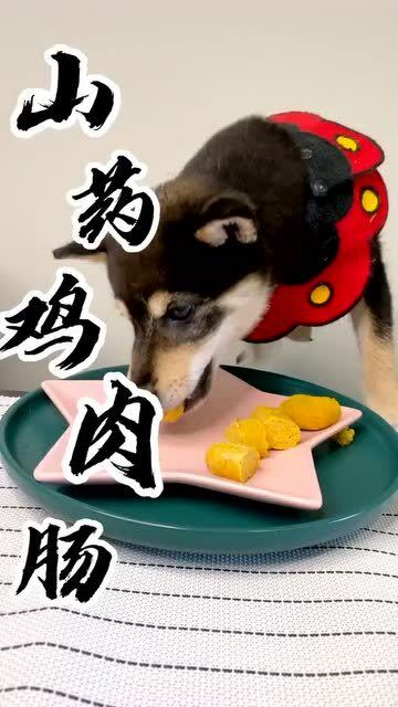 宠物狗零食肉肠怎么做