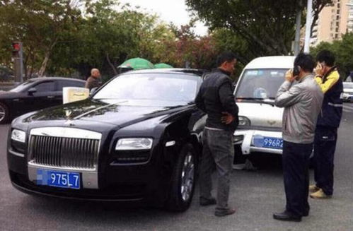 宠物猫被车撞了怎么赔偿