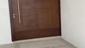 宠物猫开酒瓶会怎么样吗
