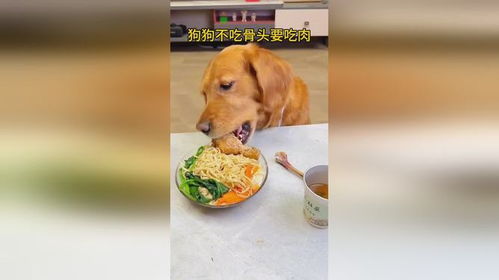 吃宠物狗吃肉会怎么样