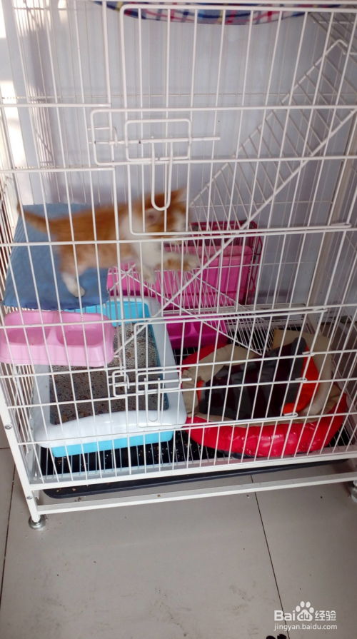 凉席宠物猫笼怎么用