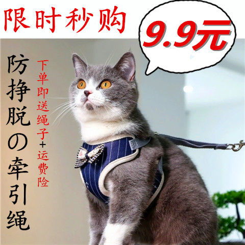 宠物猫狗用品牵引绳怎么用