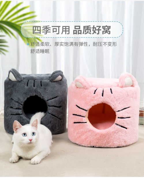 封闭宠物猫窝怎么养