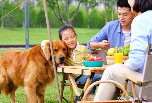 怎么选到亲人的宠物狗呢