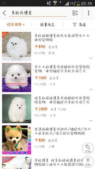 淘宝买的宠物狗怎么运的