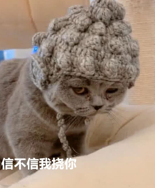 宠物猫帽子怎么织的
