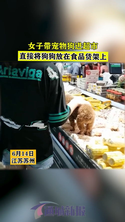 宠物狗怎么进食品店买