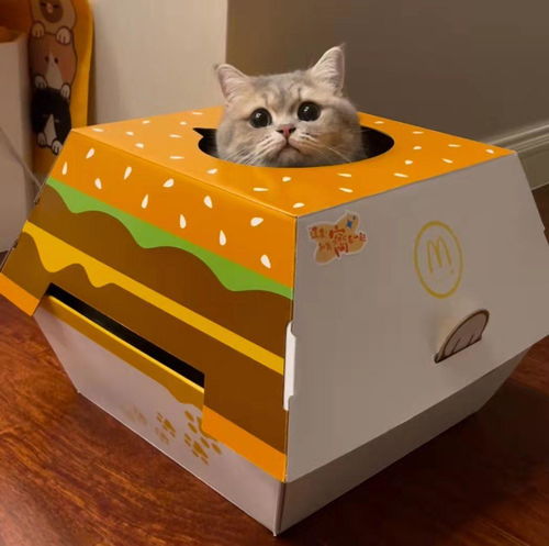 宠物猫窝纸盒怎么折叠