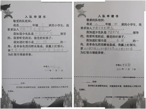宠物猫喂养协议怎么写