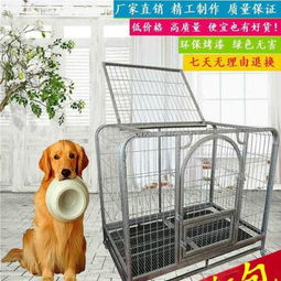 两层宠物狗笼怎么搭配好看