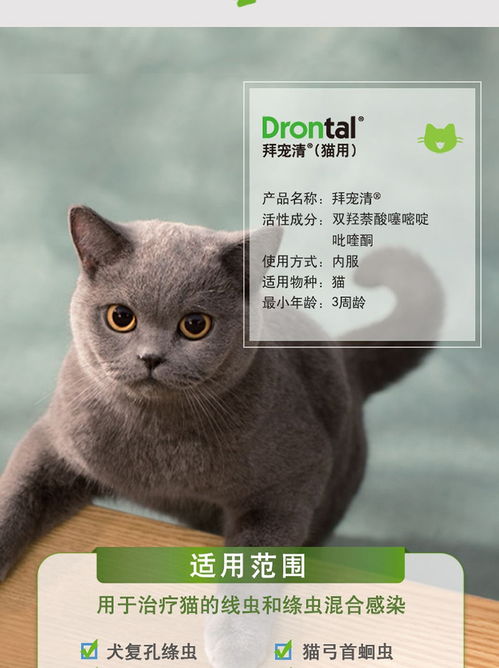 给猫驱虫多少钱一次