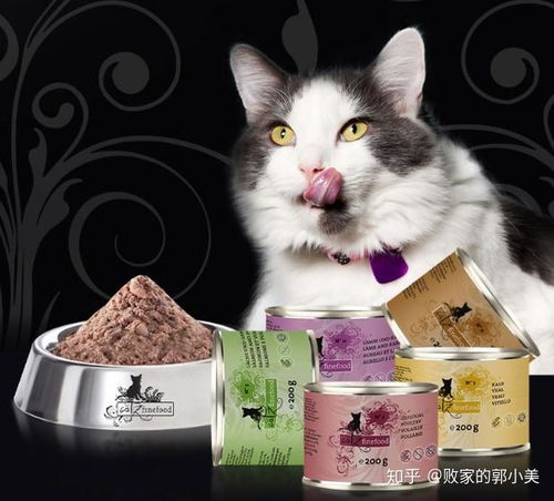 猫吃的罐头多少钱