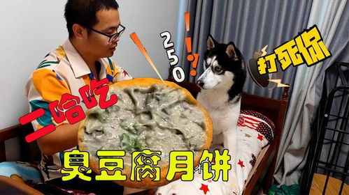 给宠物狗做月饼怎么做好吃