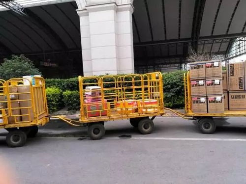 宠物猫怎么火车托运