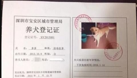 天津办狗证多少钱