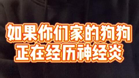 宠物狗胰腺炎怎么治疗好