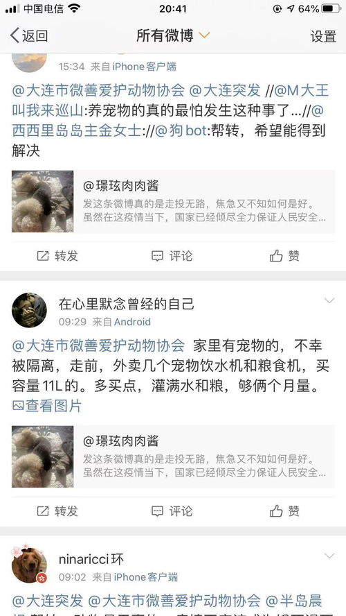 宠物猫怎么进地铁