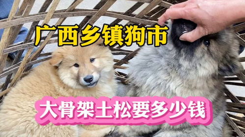 土犬幼犬多少一只
