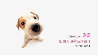 不爱吵闹宠物狗怎么办呢