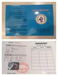 宠物狗免疫证怎么办理的