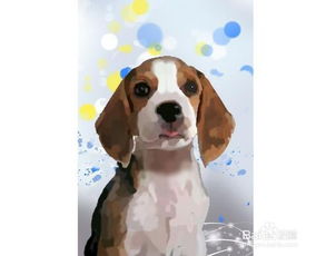 养宠物狗不怀孕怎么办呢
