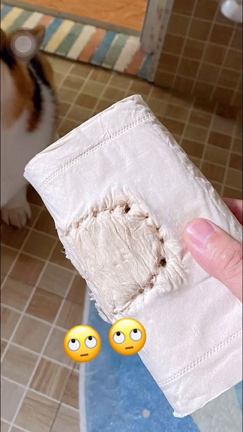 宠物狗不乐意了怎么处理