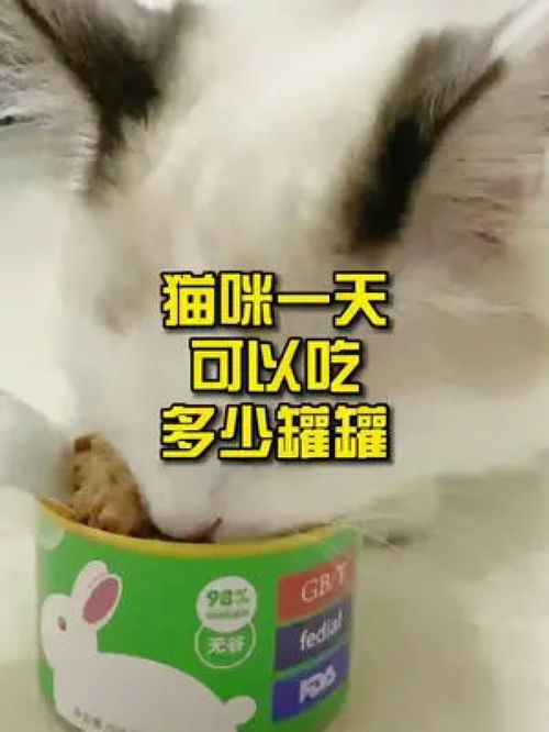 猫罐头一天吃多少