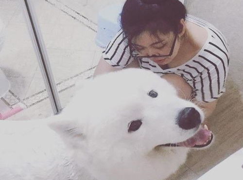 单身女人怎么养宠物狗好