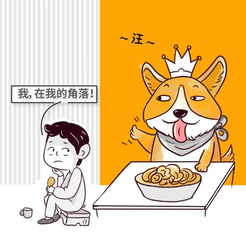 儿子不如宠物狗怎么办呢