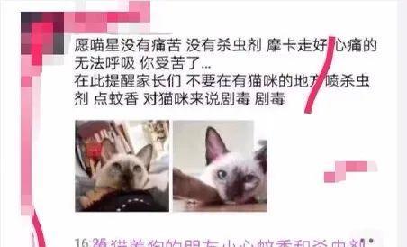有宠物猫怎么用蚊香
