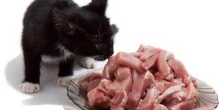 宠物狗生骨肉怎么做的