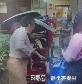 宠物狗砸伤人怎么办赔偿