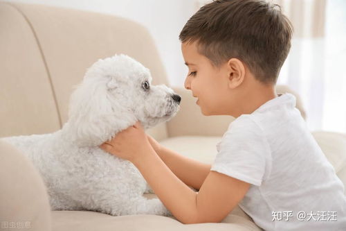 有孩子家庭怎么养宠物狗