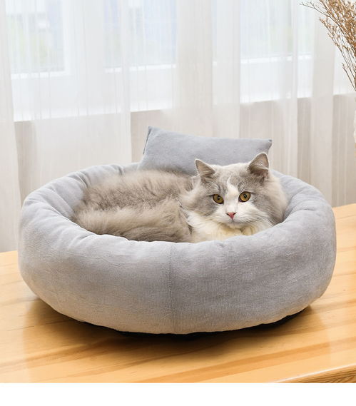 宠物猫窝跑道怎么处理