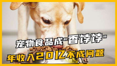 养宠物狗太烧钱怎么办啊