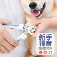 大型宠物狗指甲剪怎么剪