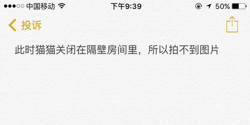 租户有宠物猫怎么举报