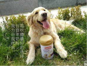 宠物狗羊奶粉怎么挑选啊