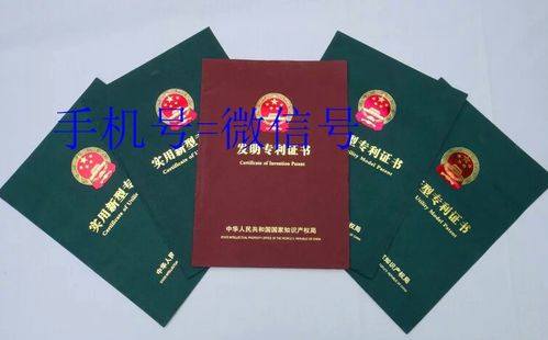 宠物狗粮怎么申请专利证