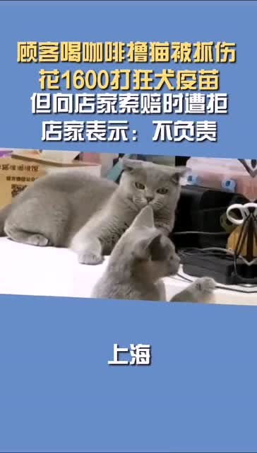 宠物猫抓伤店家怎么赔偿