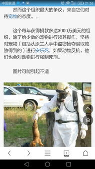 车上的宠物狗被偷走了怎么办