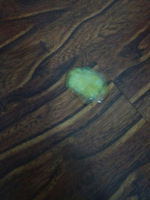 宠物狗粑粑不成形怎么办