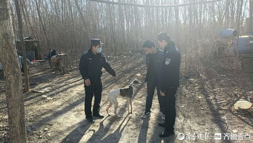 偷宠物狗被抓了怎么办啊