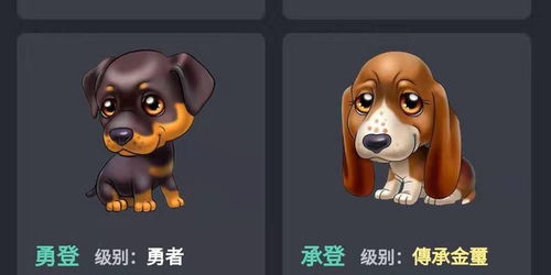 虚拟宠物狗被骗怎么办啊