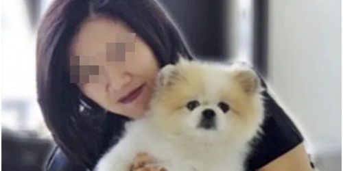 宠物狗测新冠病毒怎么测