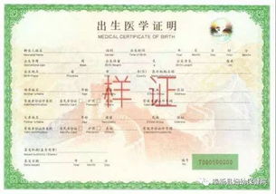 宠物狗怎么办理出生证明