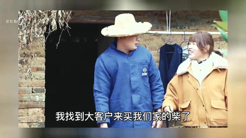 宠物狗和男友吵架怎么办